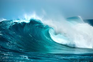The History of the Waves: From Past to Present